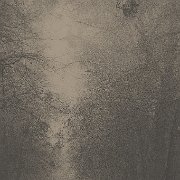 001 PL